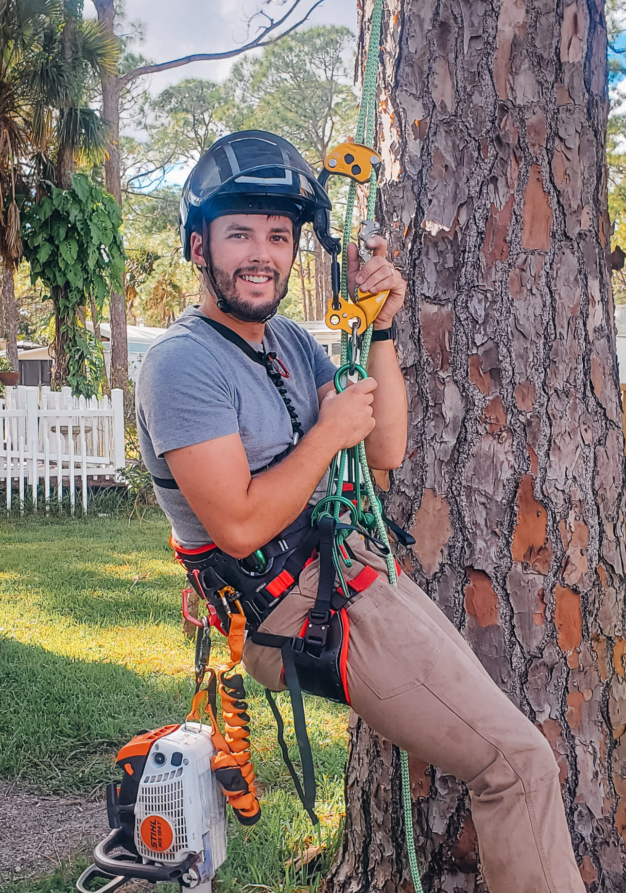 certified arborist brandon